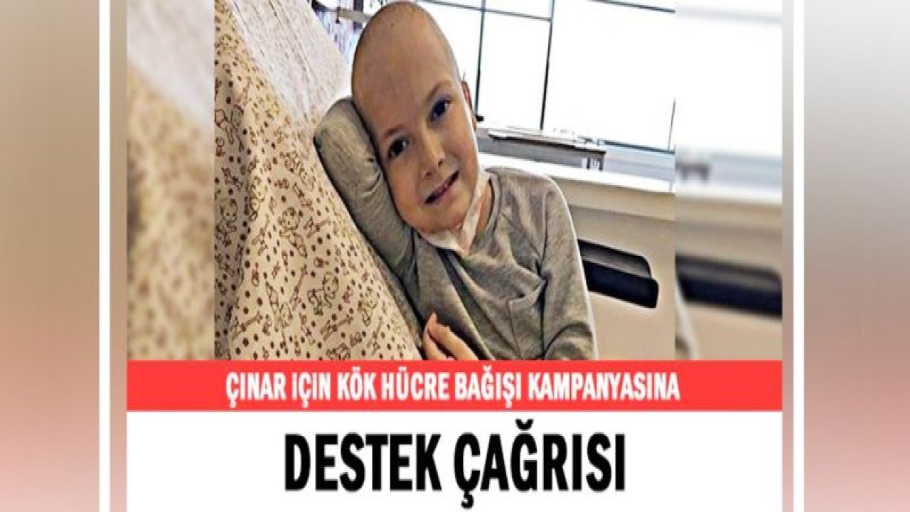 Çınar için kök hücre bağışı kampanyasına destek