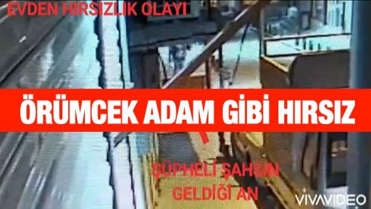 Örümcek Adam gibi hırsız