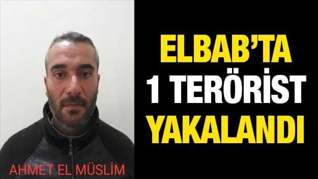 Elbab’ta 1 terörist yakalandı