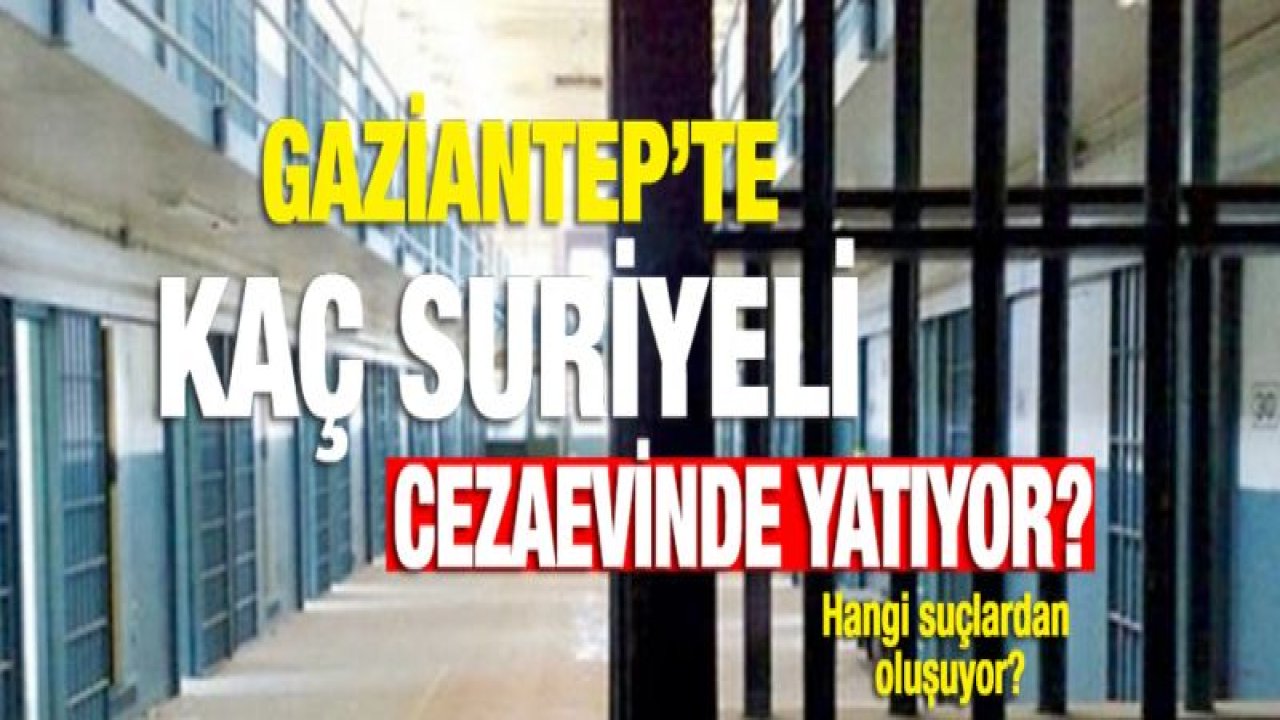 İşte Gaziantep'te cezaevlerindeki Suriyeli suçlu sayısı