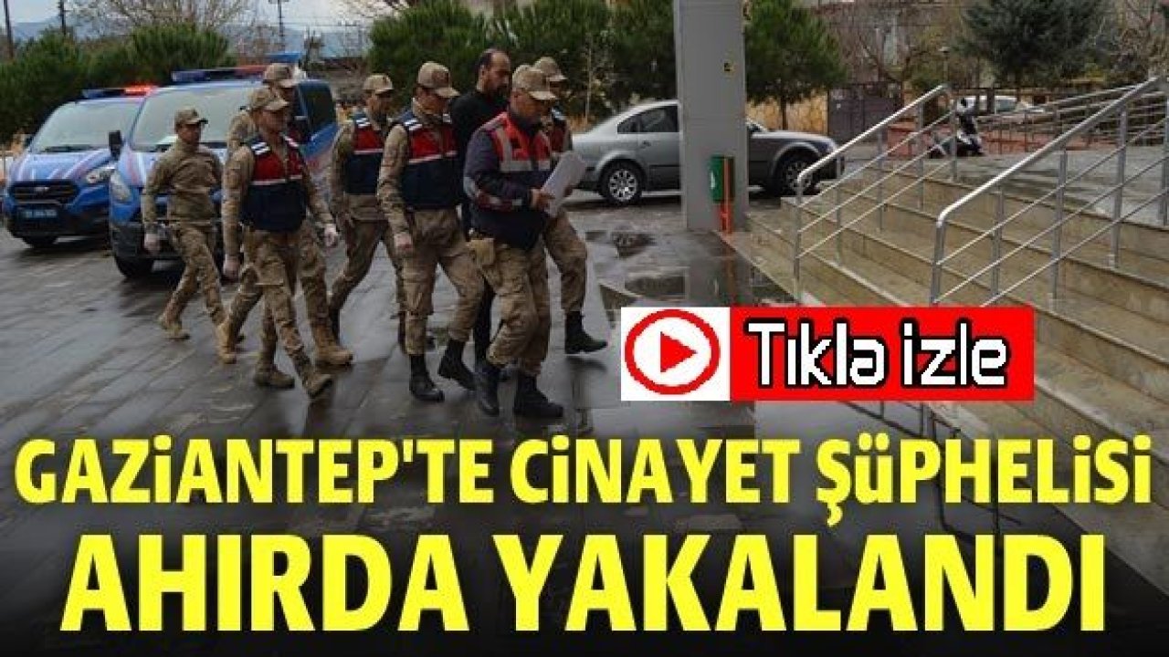 Gaziantep'te cinayet şüphelisi ahırda yakalandı