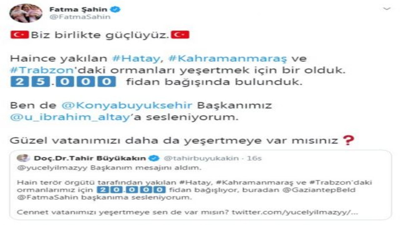 Yakılan ormanlar için 25 bin fidan bağışı