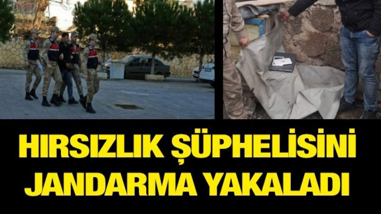 Hırsızlık şüphelisini jandarma yakaladı