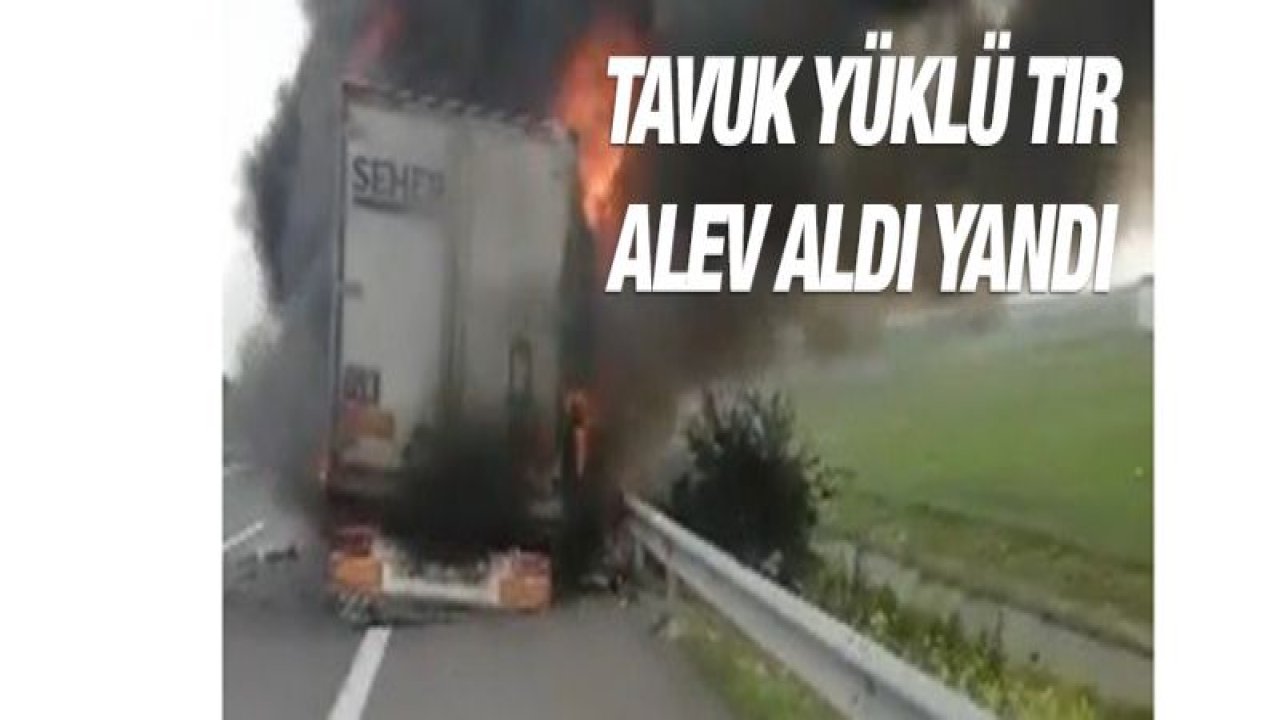 Tavuk yüklü tır alev aldı