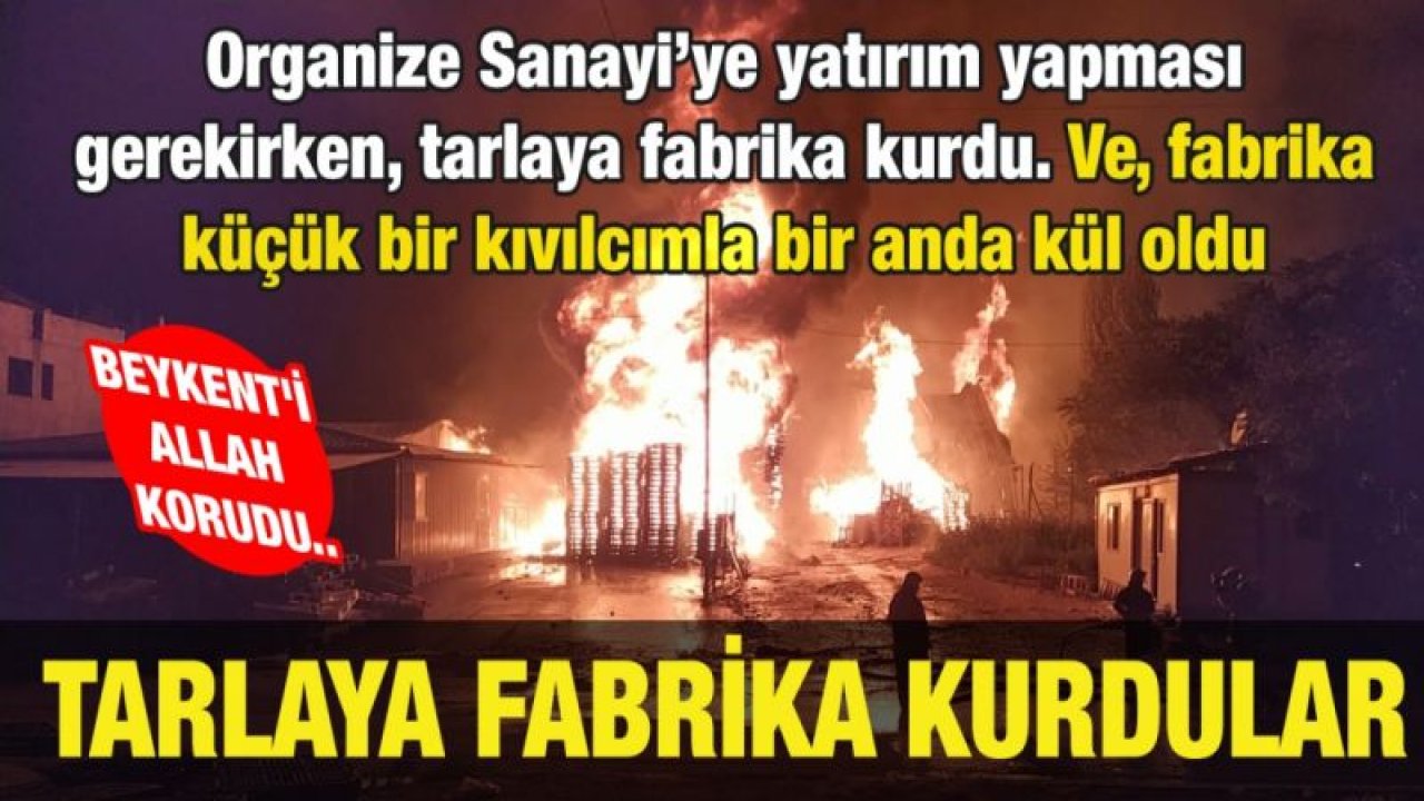 Tarlaya fabrika kurdular, Beykent'i Allah korudu..