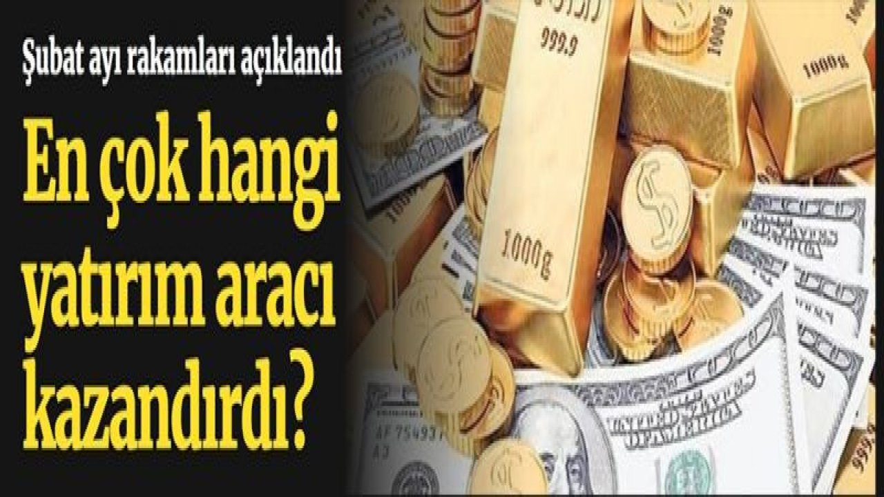 Şubat ayında en çok hangi yatırım aracı kazandırdı?