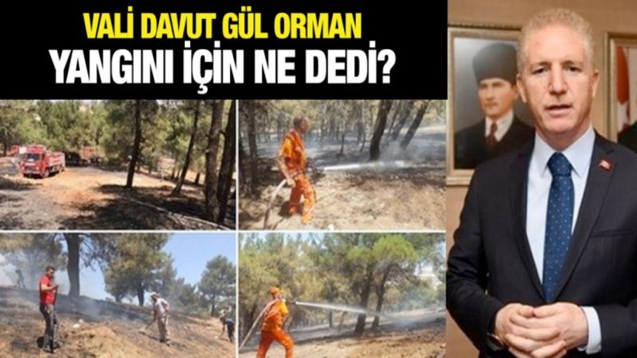 Vali Gül'den Dülük Orman Yangını açıklaması