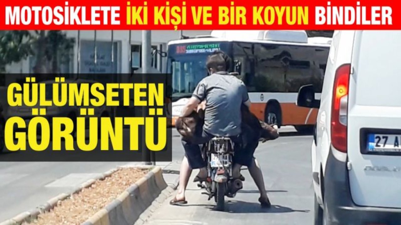 Motosiklete iki kişi ve bir koyun bindiler