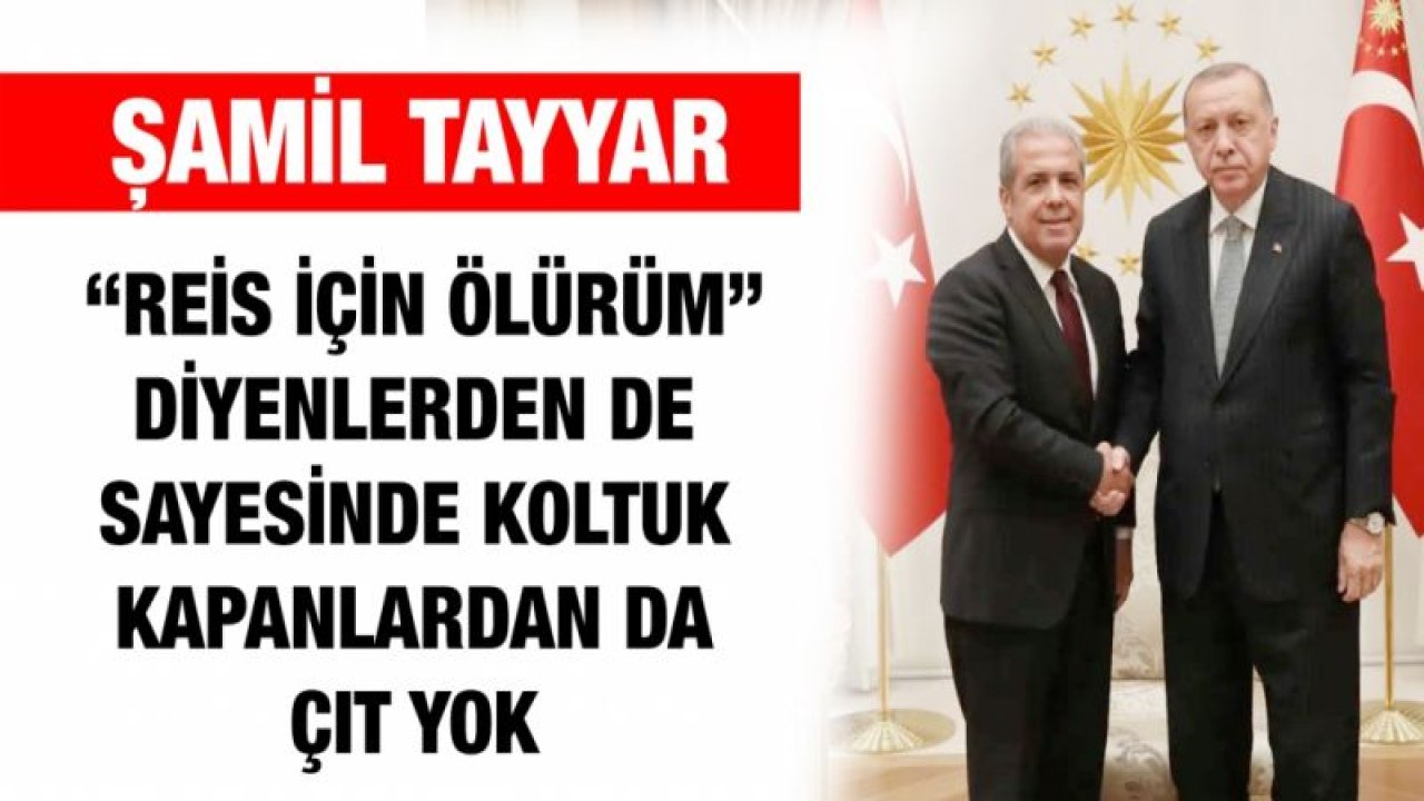 “Reis için ölürüm” diyenlerden de sayesinde koltuk kapanlardan da çıt yok