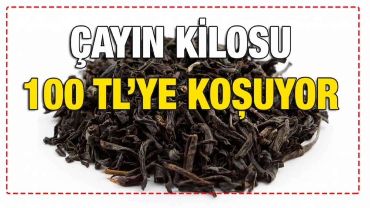 Çayın kilosu 100 TL’ye koşuyor