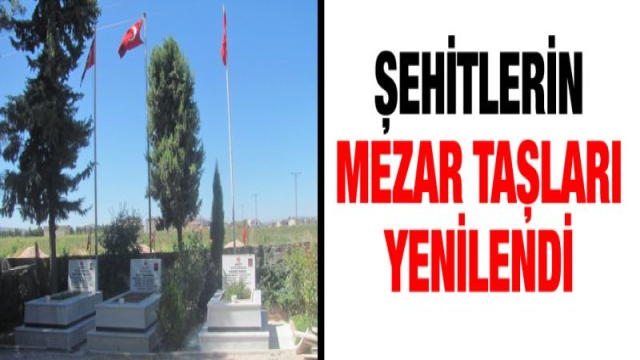 Şehitlerin mezar taşları yenilendi