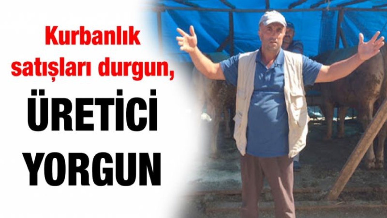 Kurbanlık satışları durgun, üretici yorgun