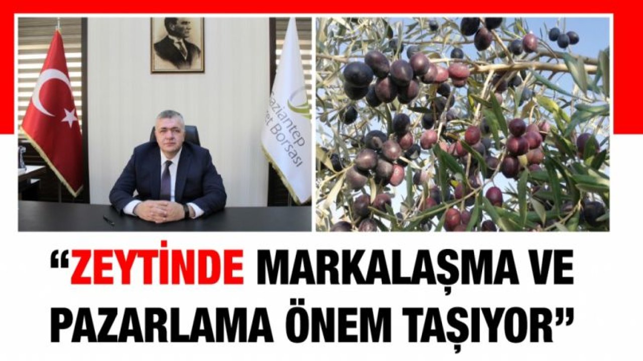 “ZEYTİNDE MARKALAŞMA VE PAZARLAMA ÖNEM TAŞIYOR”