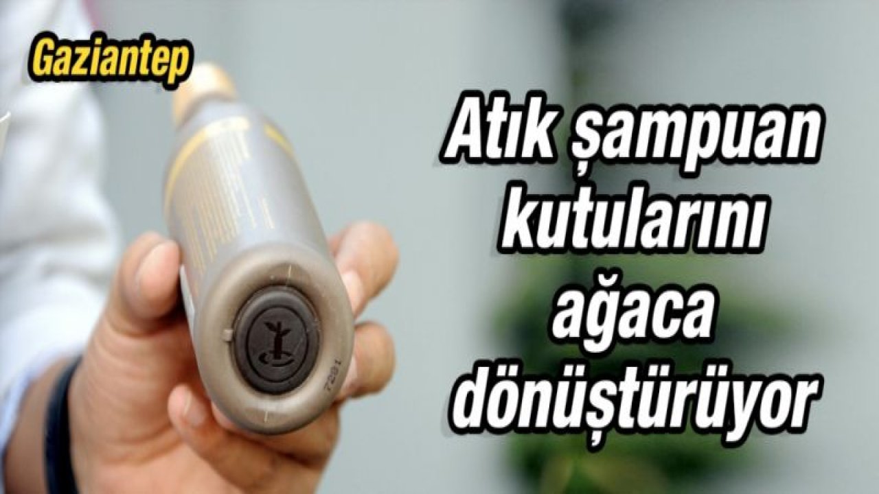 Gaziantep'te atık şampuan kutuları, ağaca dönüşüyor...