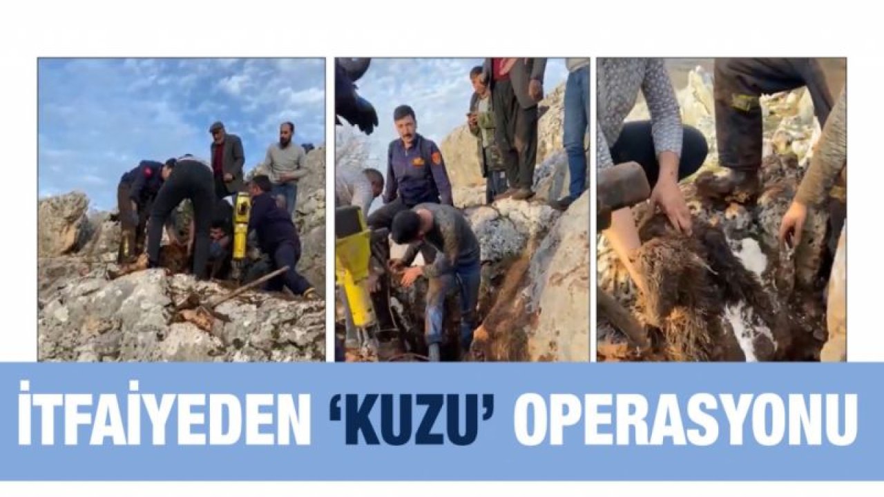 İtfaiyeden ‘kuzu’ operasyonu