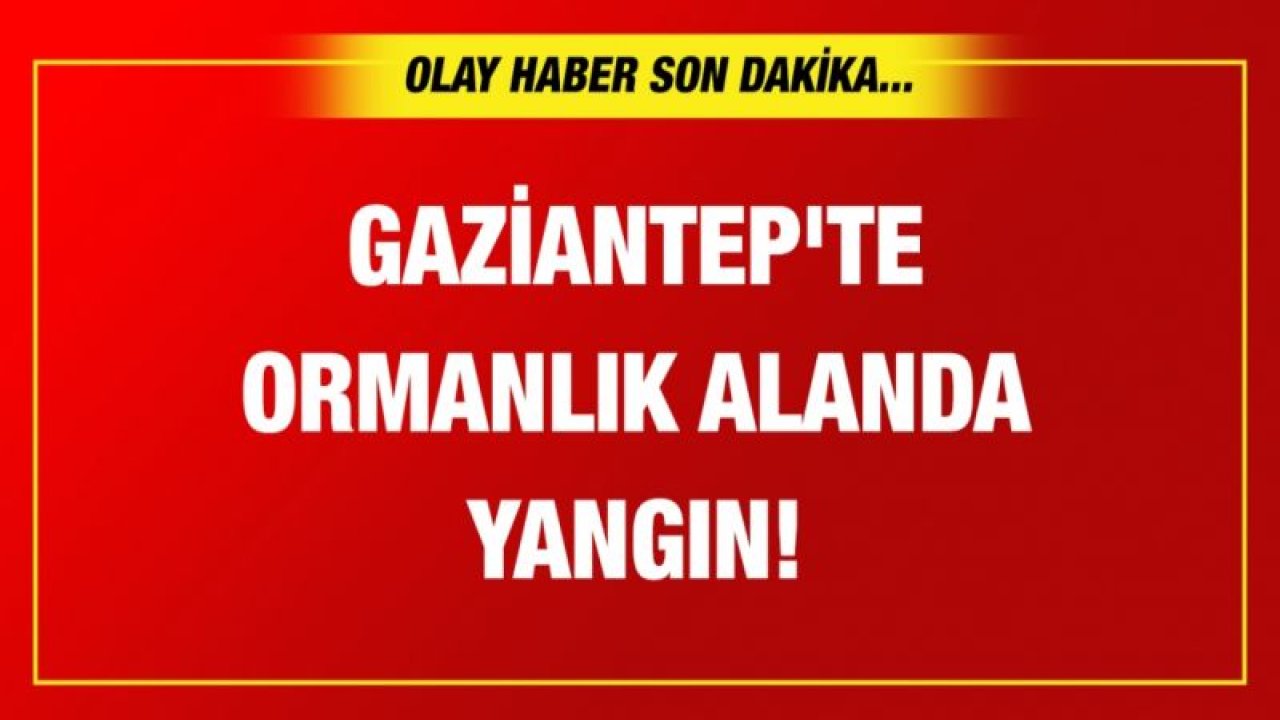 Gaziantep'te ormanlık alanda yangın!