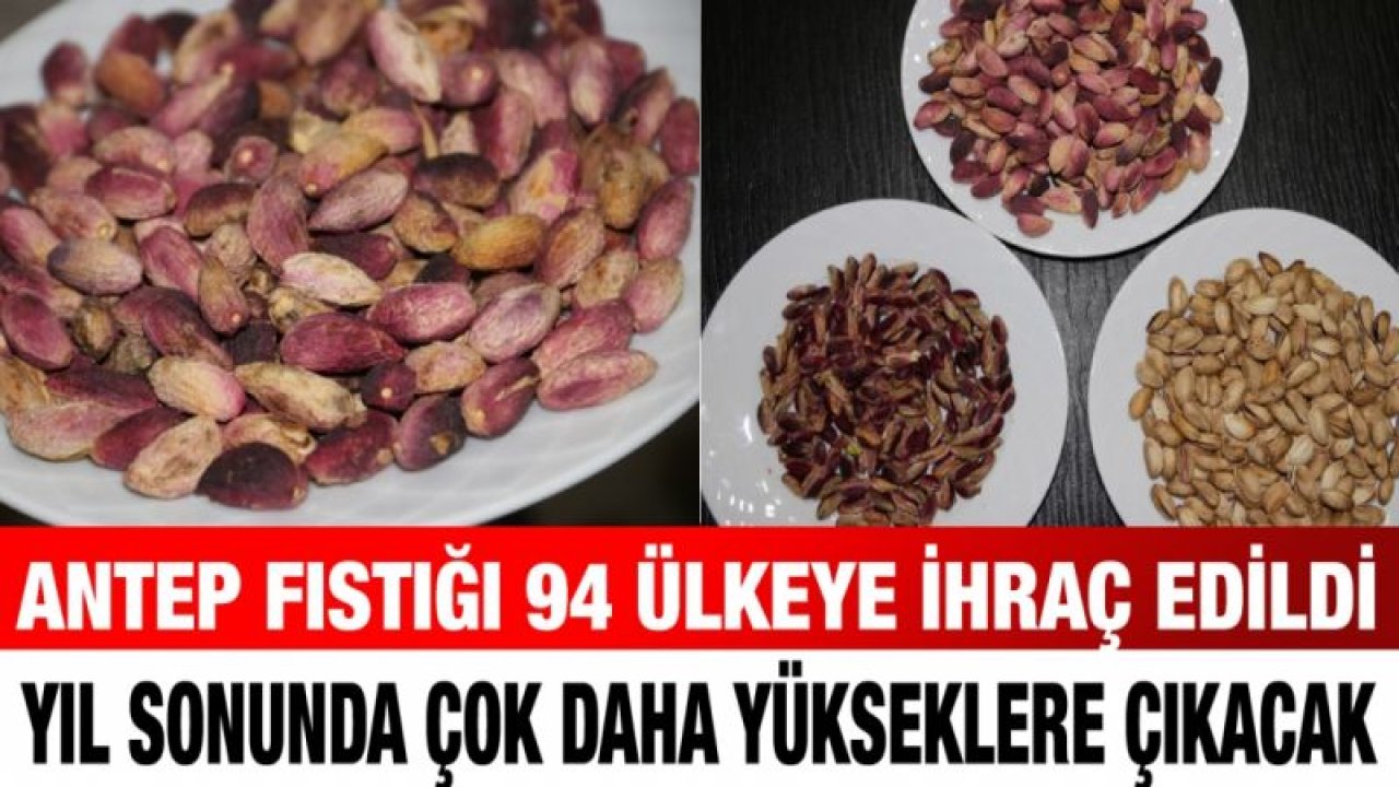 Antep fıstığı 94 ülkeye ihraç edildi