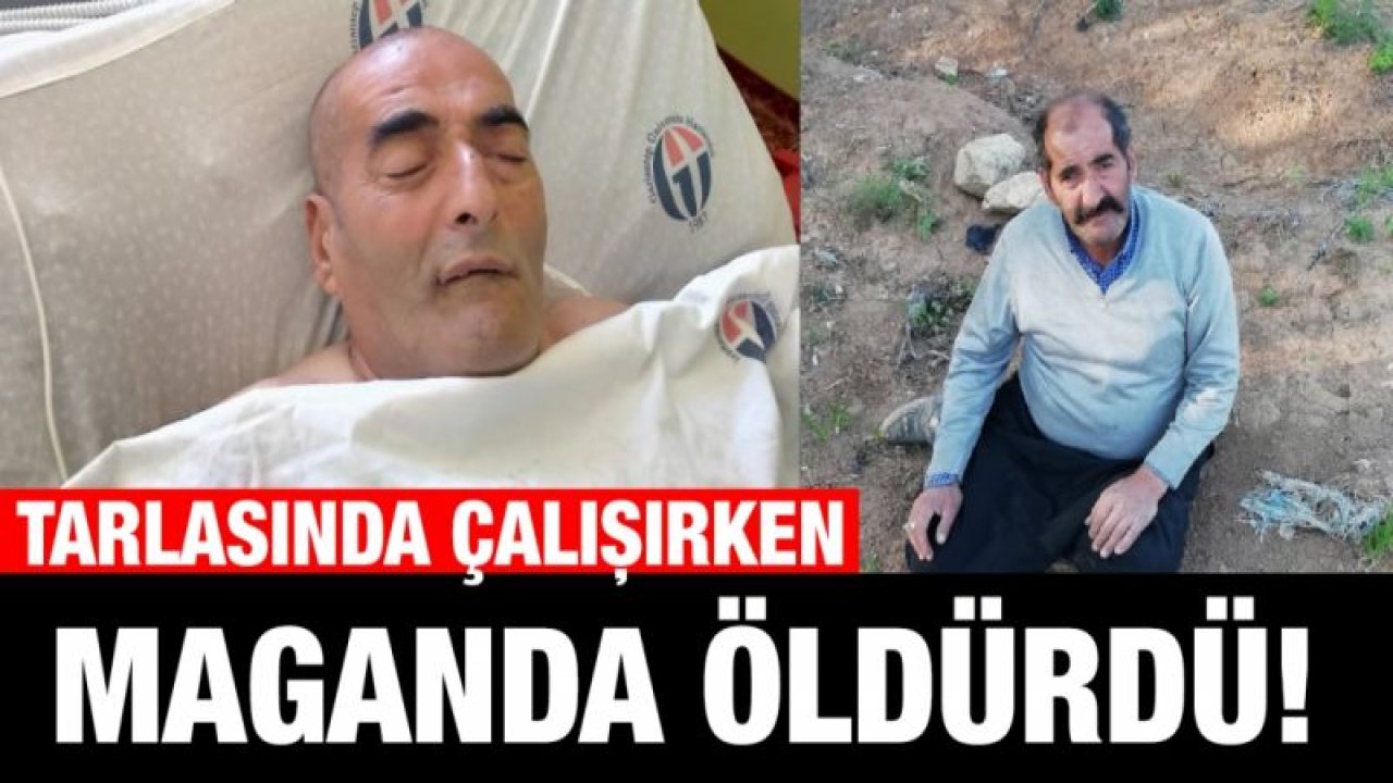 Tarlasında çalışırken maganda kurşunuyla vurulan şahıs öldü