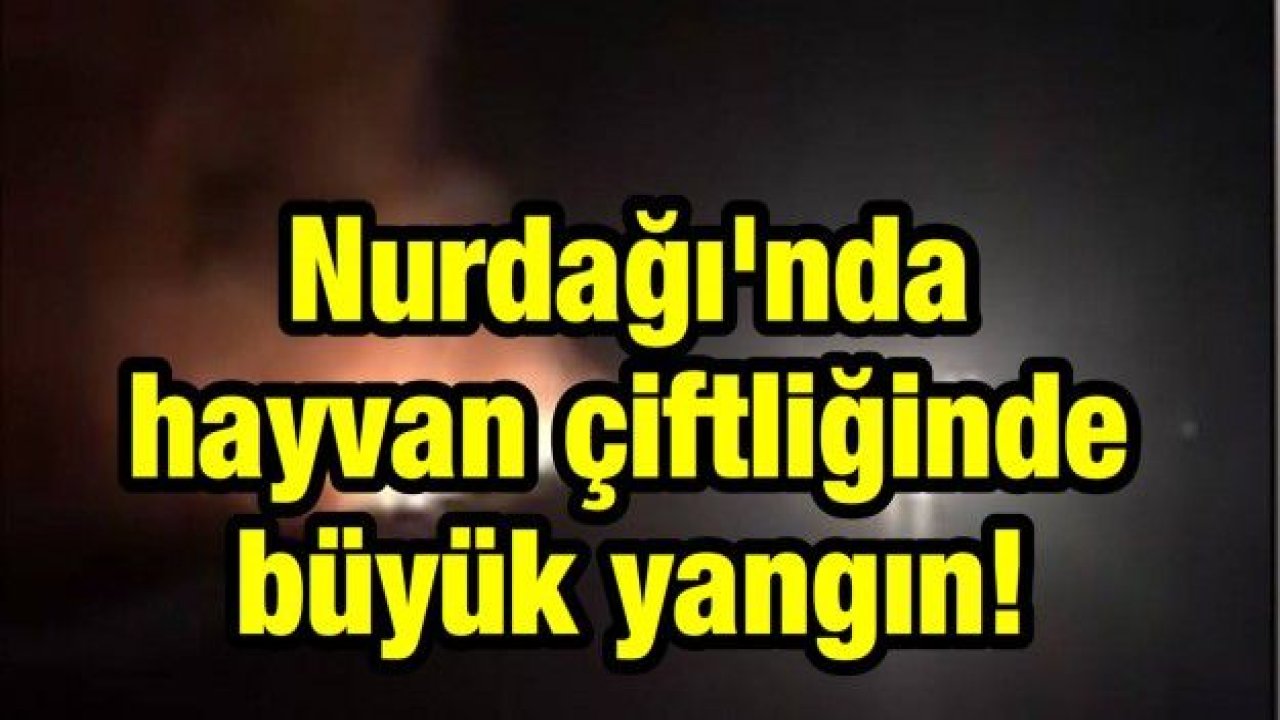 Nurdağı'nda hayvan çiftliğinde büyük yangın!