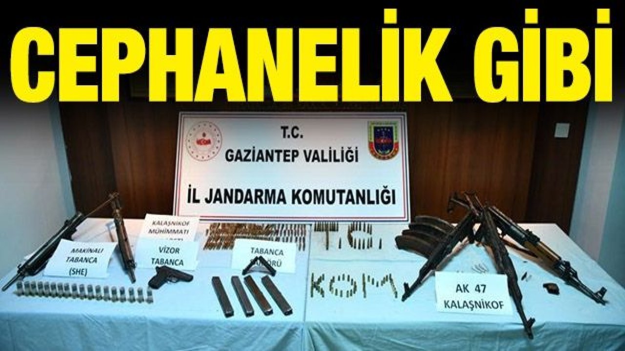 Polisin araması cephanelik gibi silah bulundu