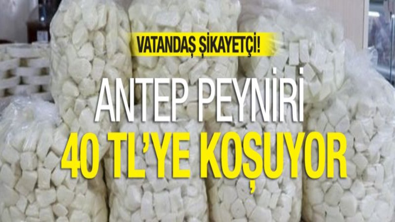 Antep Peyniri 40 TL'ye koşuyor