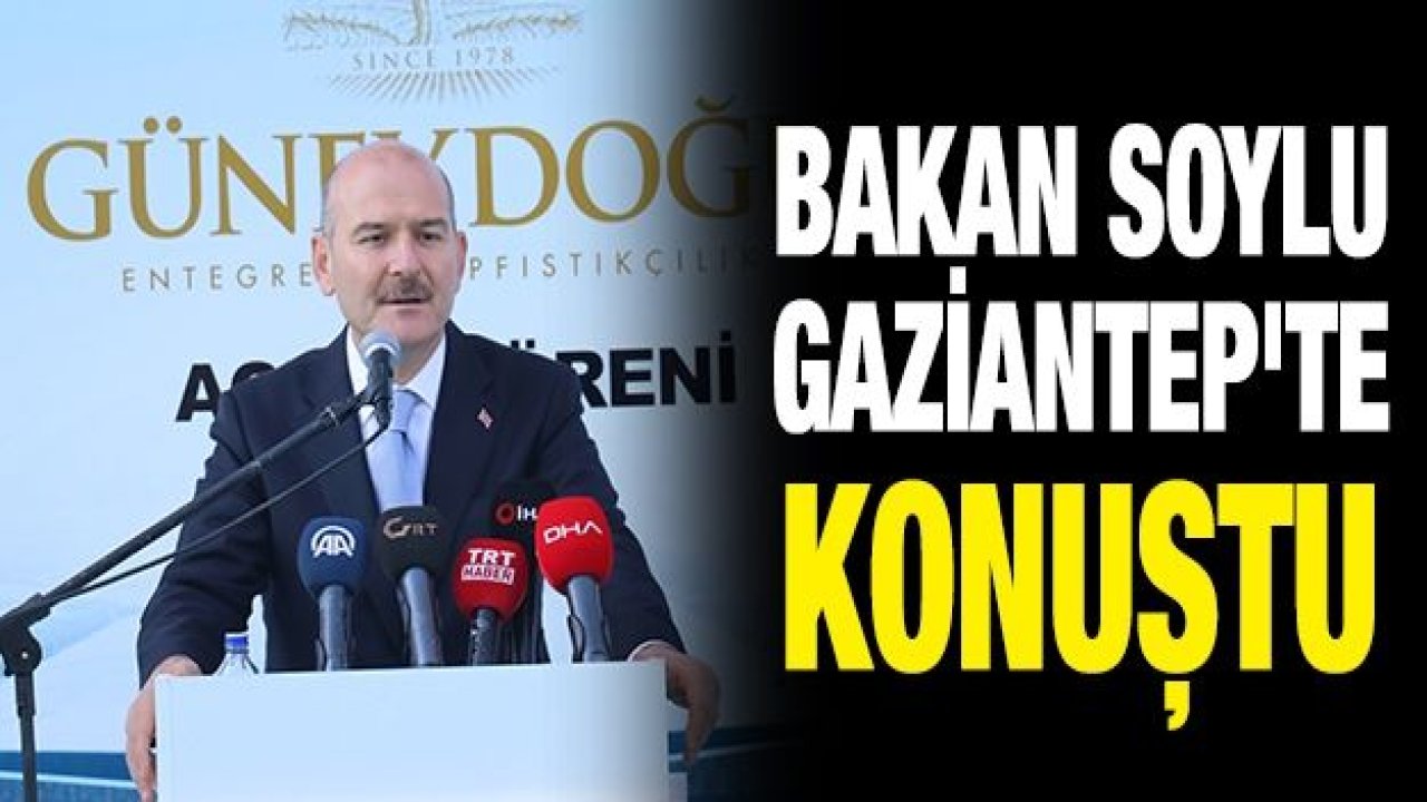 Bakan Soylu Gaziantep'te konuştu