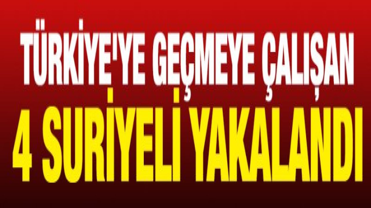 Türkiye'ye geçmeye çalışan 4 Suriyeli yakalandı