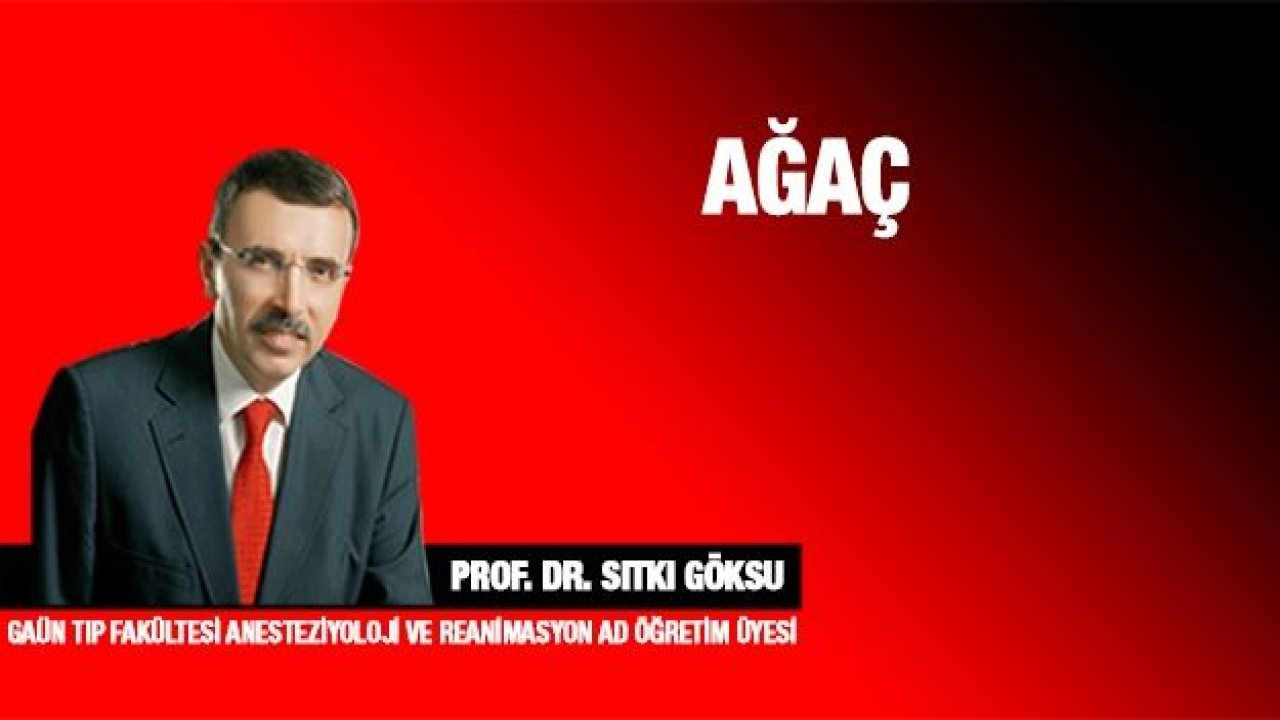 Ağaç