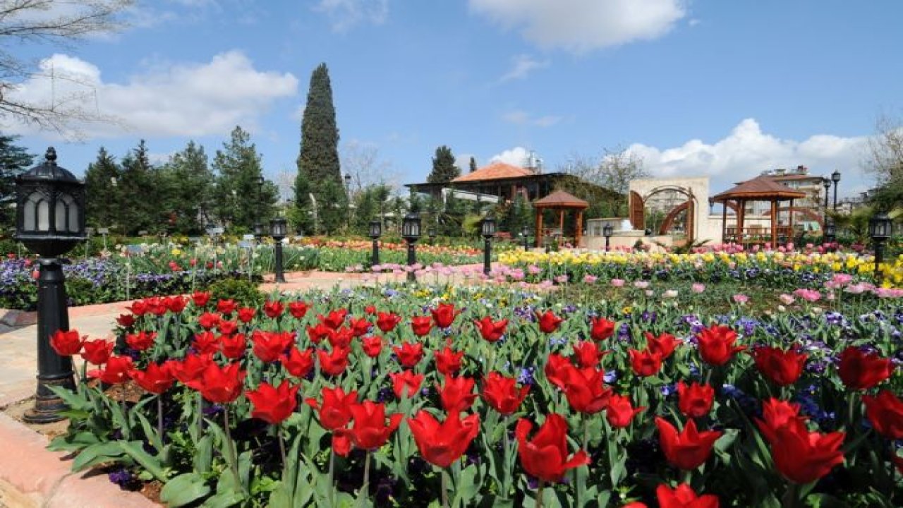 Botanik Çalıştayı İçin Başvurular 5 Mart’a Kadar Devam Edecek