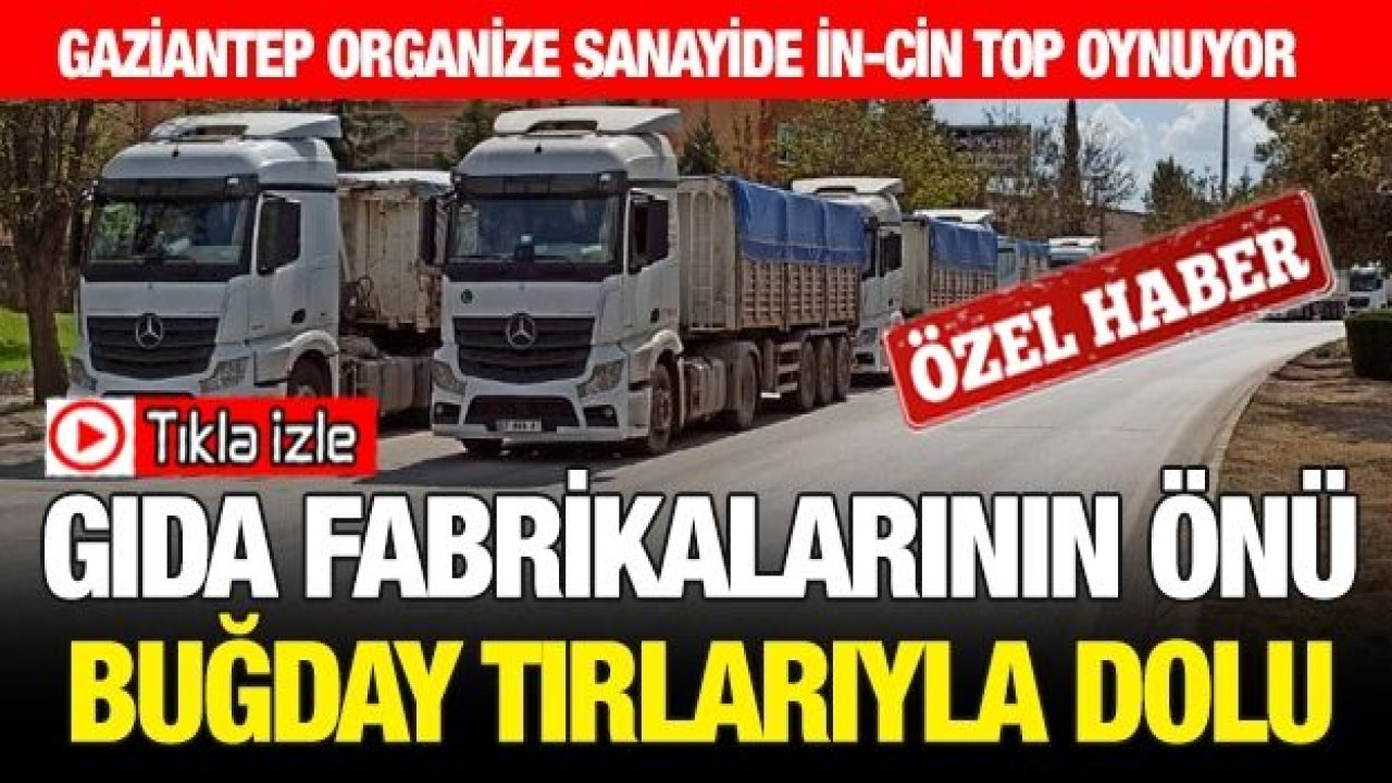 Gaziantep Organize Sanayide İn-Cin top oynuyor