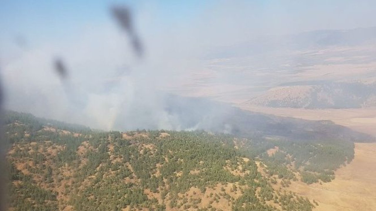 Gaziantep'te orman yangını