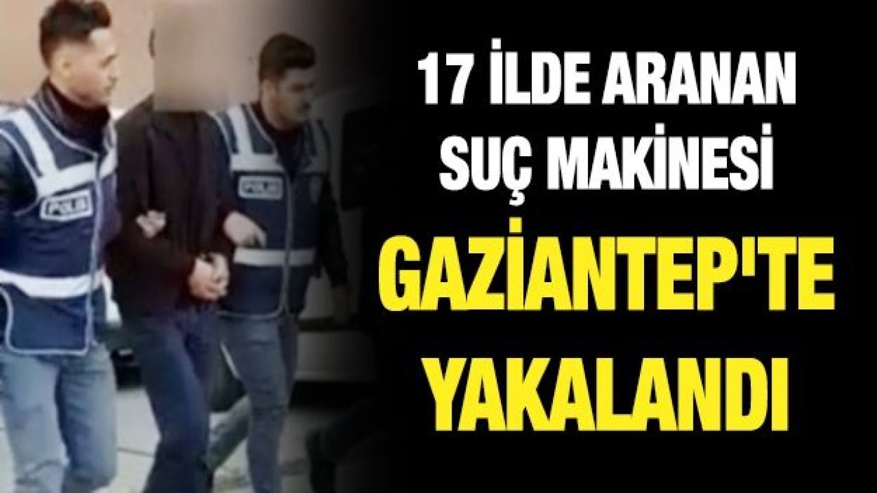 17 ilde aranan suç makinesi Gaziantep'te yakalandı