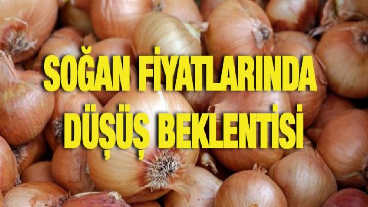 Soğan fiyatlarında düşüş beklentisi