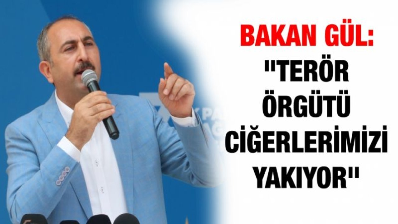 Bakan Gül: "Terör örgütü ciğerlerimizi yakıyor"