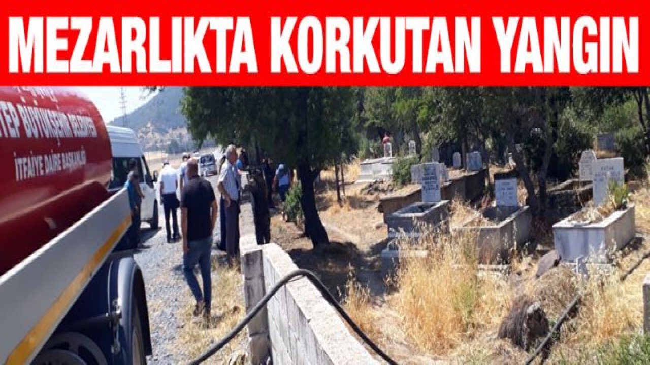 Mezarlıkta çıkan yangın korkuttu