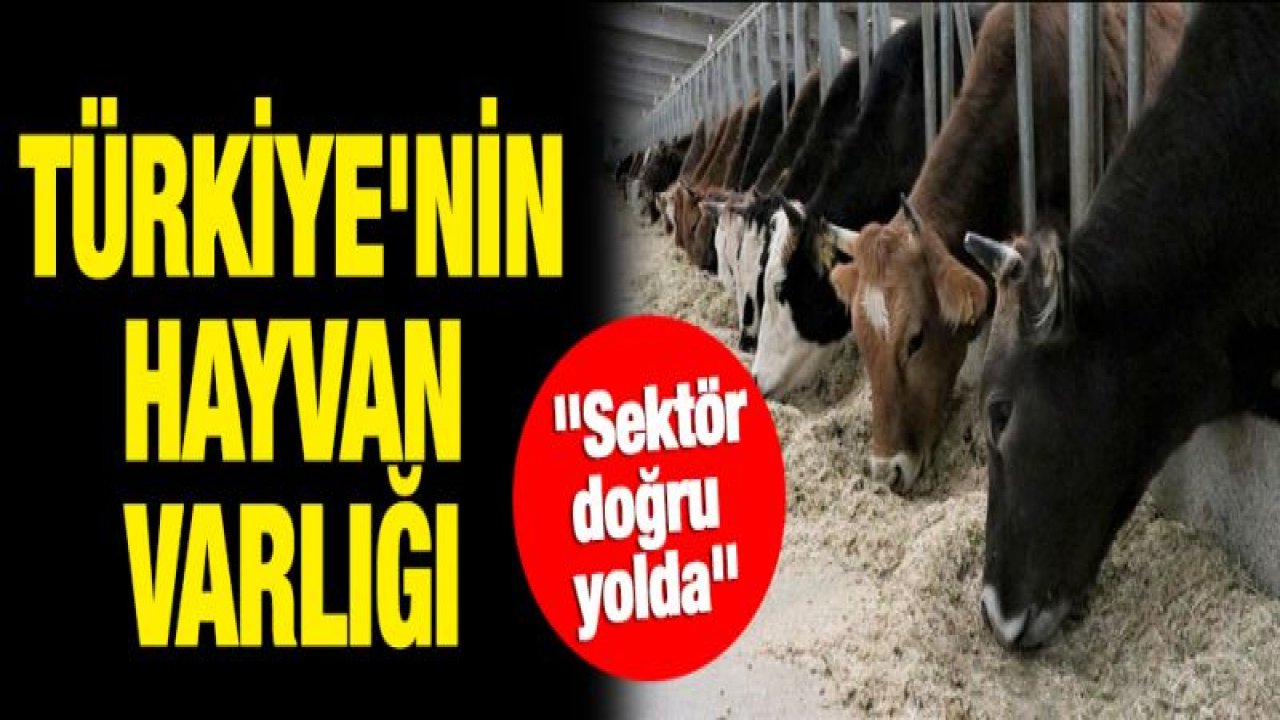 70 milyona yaklaştı