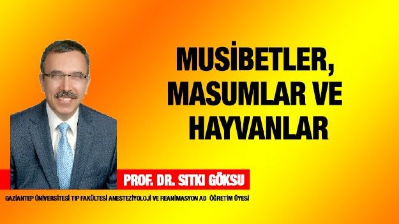 Musibetler, Masumlar ve Hayvanlar