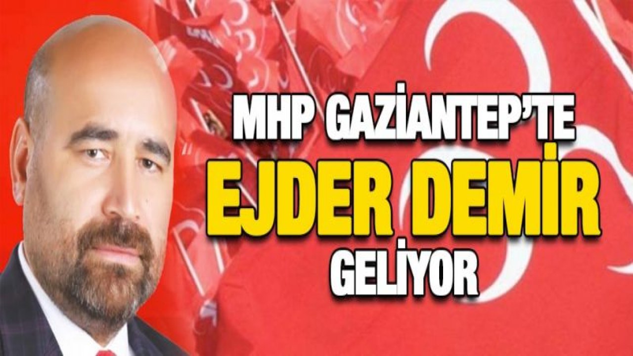 MHP'de Demir geliyor