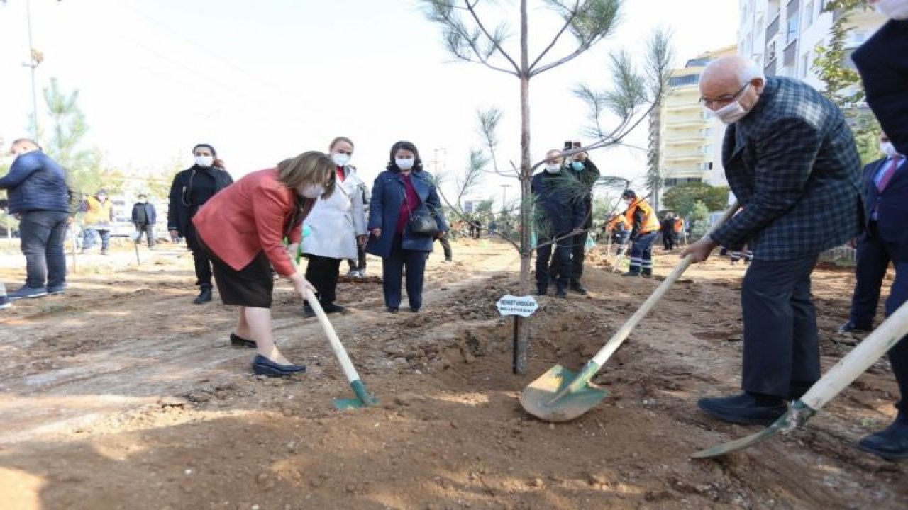 Gaziantep kent merkezinde 3 bin 83 büyük ağaç toprakla buluştu