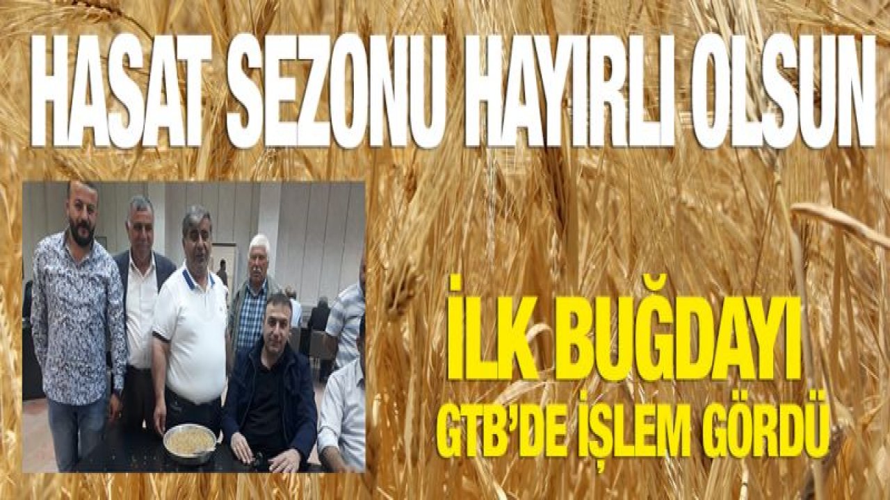 HASAT SEZONUNUN İLK BUĞDAYI GTB'DE İŞLEM GÖRDÜ