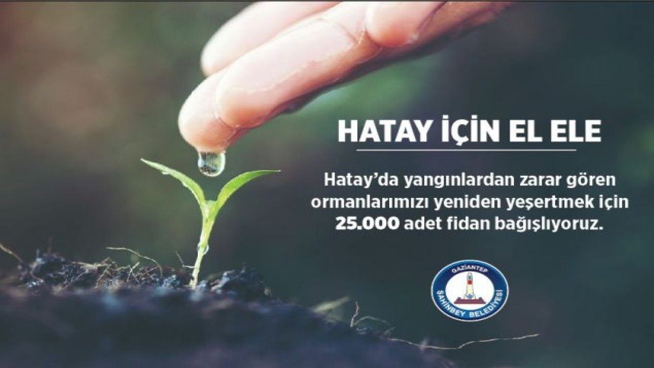 ŞAHİNBEY BELEDİYESİ’NDEN HATAY’A 25.000 FİDAN