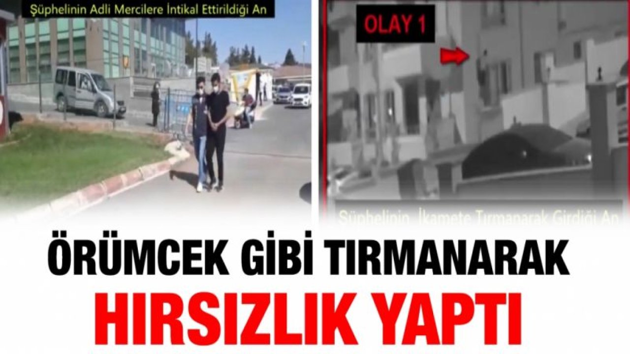 Örümcek gibi tırmanarak hırsızlık yaptı