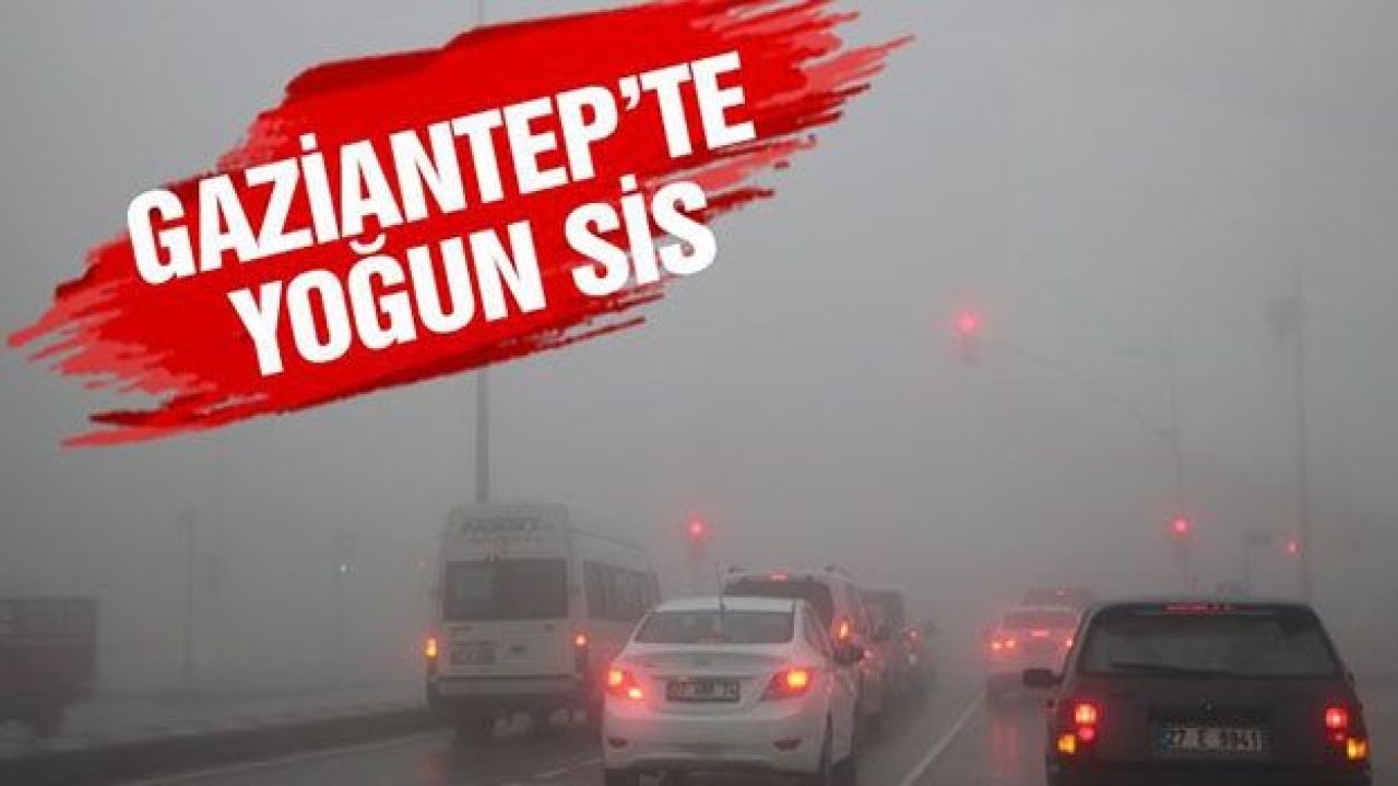 Gaziantep'te yoğun sis