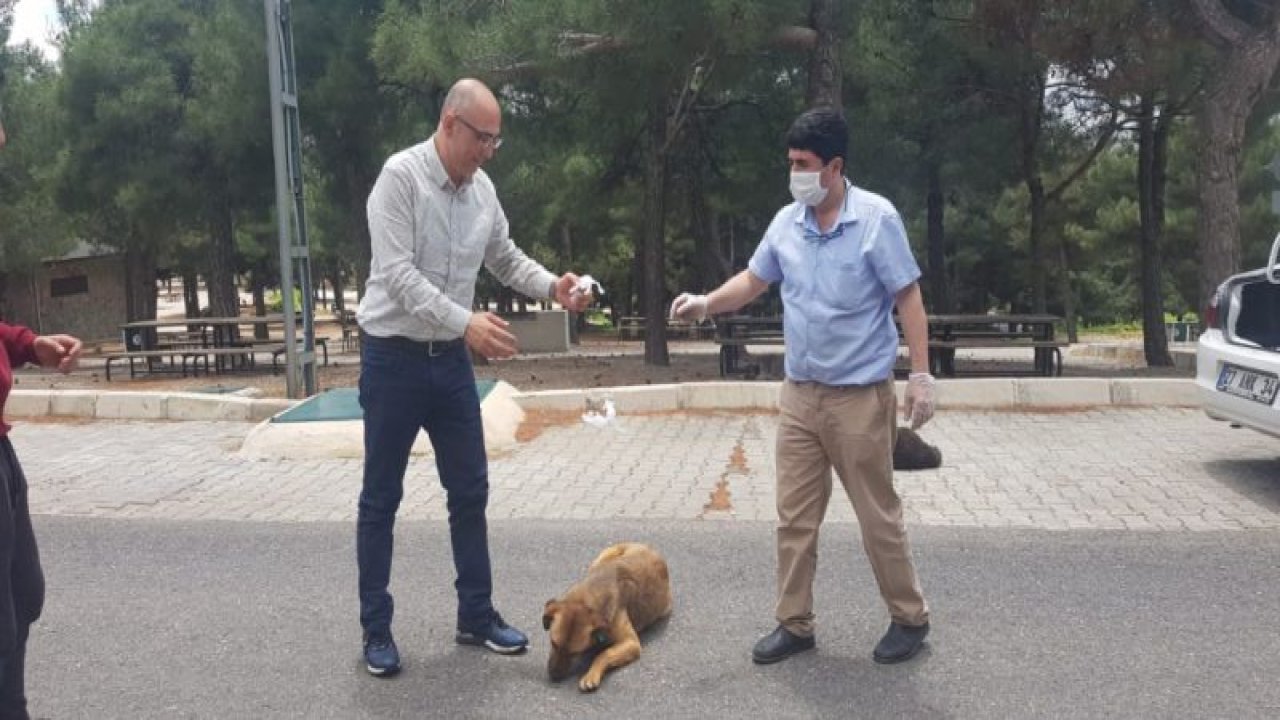 CAHİDE'nin bayram beslemesine Başkan ve Kaymakam'dan destek