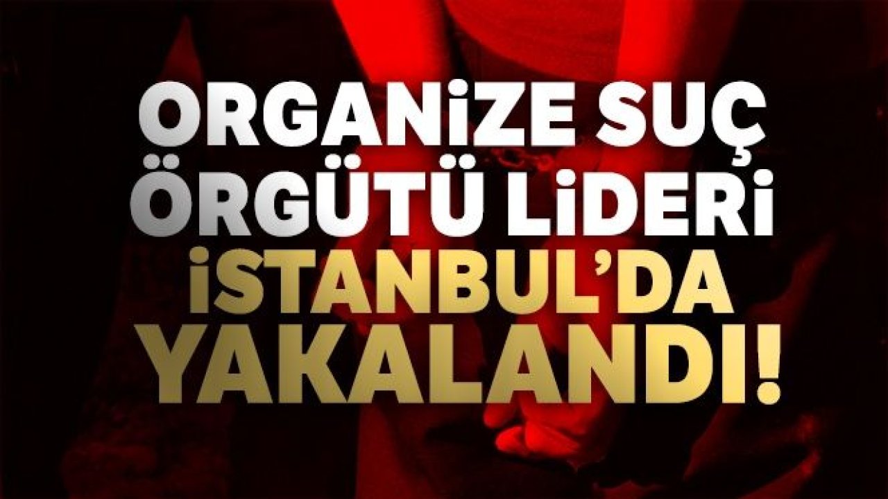 Organize suç örgütü lideri Ayvaz Korkmaz İstanbul'da yakalandı