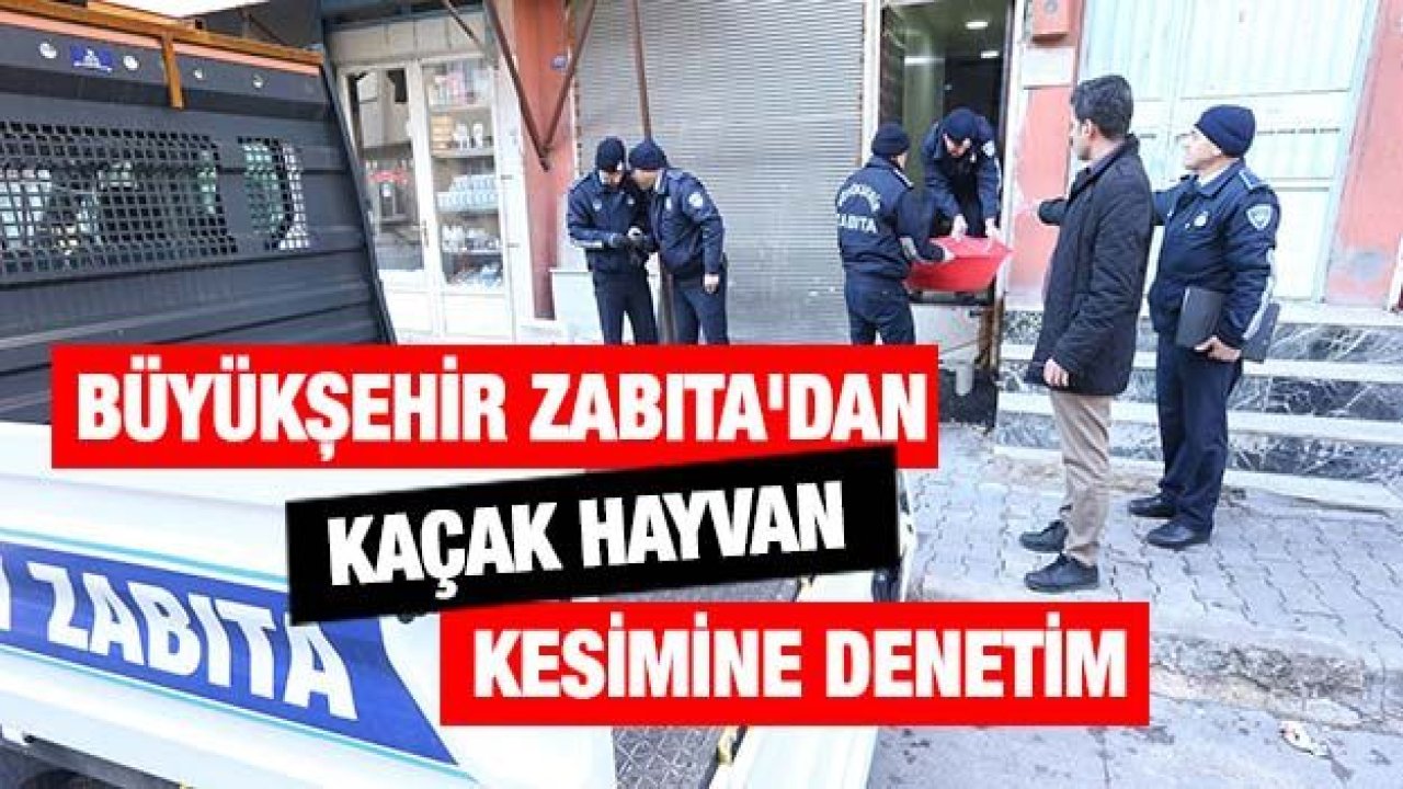 BÜYÜKŞEHİR ZABITA'DAN KAÇAK HAYVAN KESİMİNE DENETİM