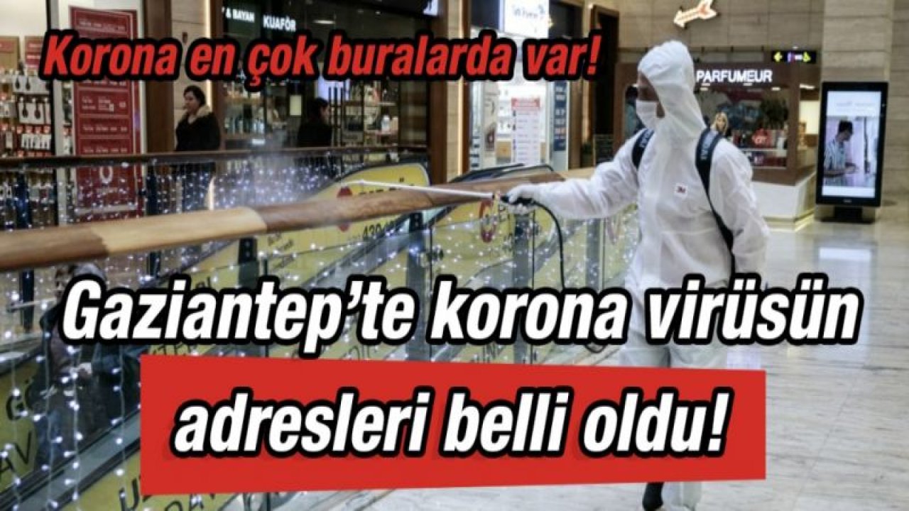 Gaziantep’te korona virüsün adresleri belli oldu!  Korona en çok buralarda var!