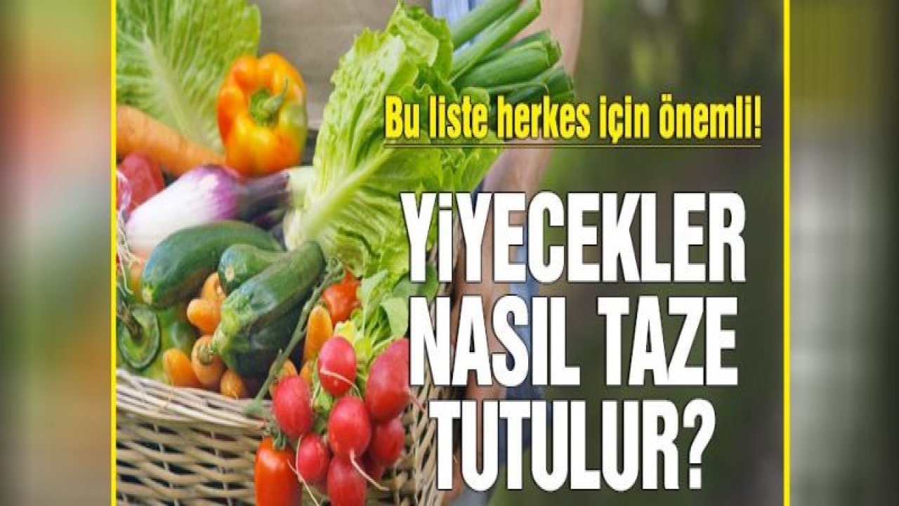 Besinler nasıl taze tutulur?