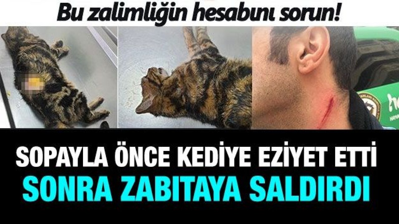 Sopayla önce kediye eziyet etti sonra kendisini uyaran zabıtaya saldırdı