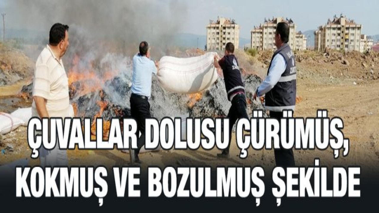 Gaziantep 'te 25 ton bozulmuş domates ele geçirildi